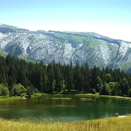 Joux 3 * Morzine